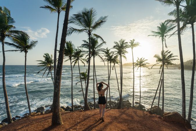 Tranquil female traveler among palms at seashore