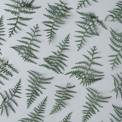 Winter pattern made out of thin green branches on grey background