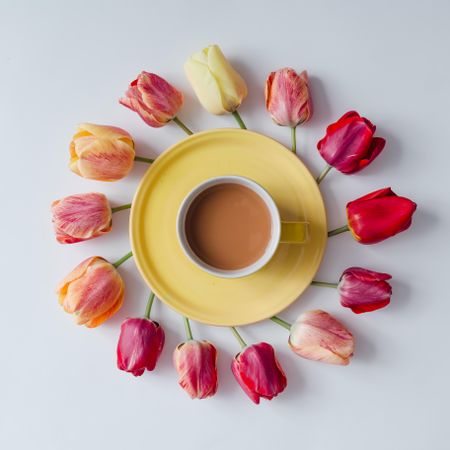 Circle of tulips on light background with yellow plate and coffee