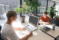 People working in sunny modern office