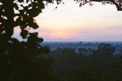 Peaceful tropical landscape with twilight mist