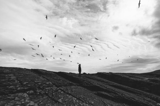 Silhouette of person on top of hill with birds