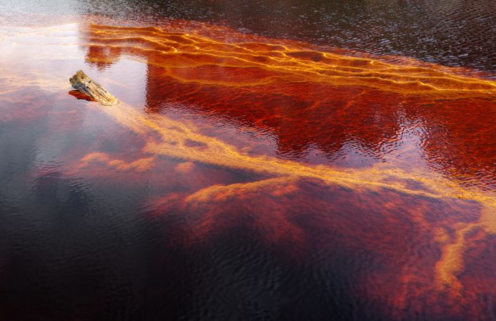 Bright orange splashes in nature