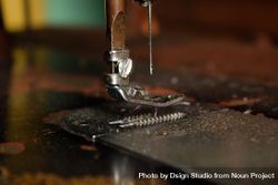 Close up of metallic sewing machine needle 5qkEpa