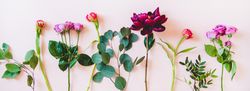 Various sorted single summer flowers flat-lay, wide composition