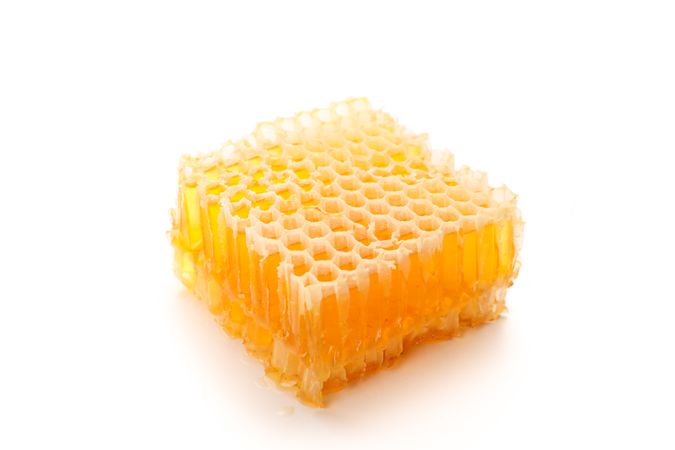 Piece of honeycomb isolated on plain background, close up
