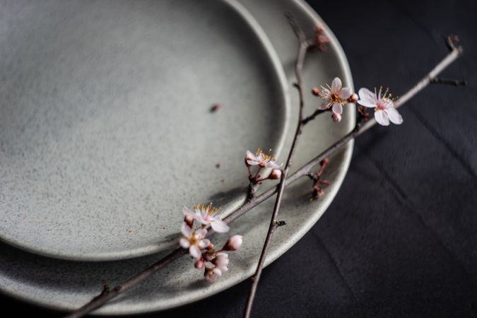 Spring table setting with blooming tree branch