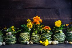 Side view of Easter holiday card with pots of bright flowers and decorative eggs and rabbit
