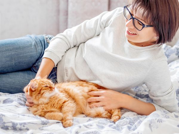 Woman petting fluffy ginger cat pet while laying on the bed