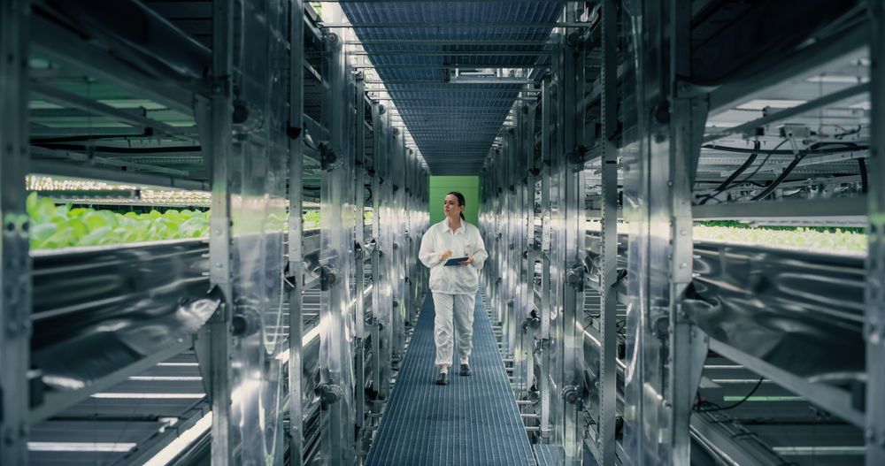 Female Farming Technician Walking Between Rows of Produce at a Modern Vertical Farm. Young Horticulturist in Protective Uniform Using Tablet Computer to Organize and Analyze Plant Information