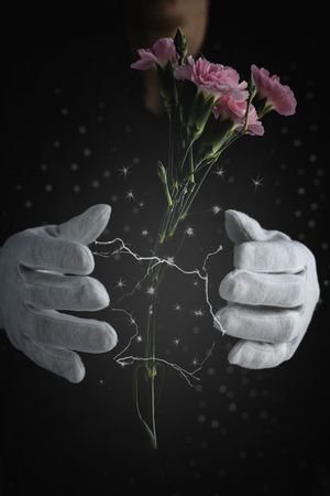 Hands of unrecognizable woman with a bouquet of carnations