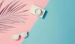 Tropical painted leaves, sunglasses and camera on pink and blue background