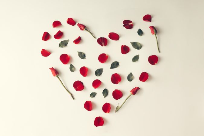 Red rose petal, leaves and flowers in a heart shape on light background