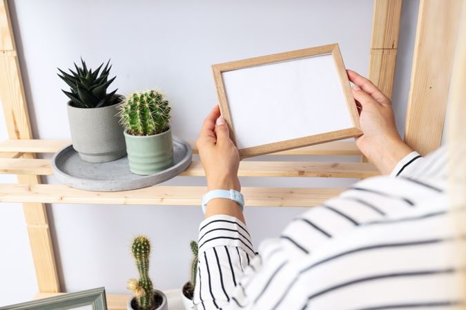 Cozy hobby - growing indoor plants at home