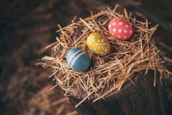 Set of Easter eggs on straw