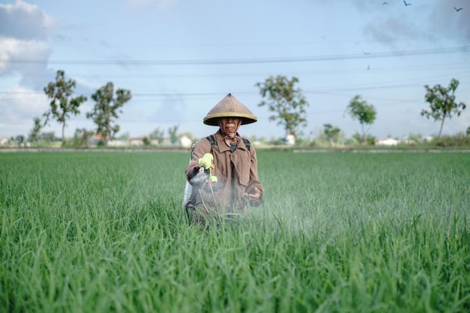 Front view of Asian male farmer spraying rice green field