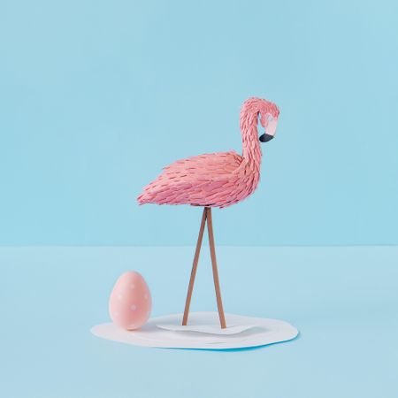 Flamingo and Easter egg