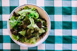 Fresh lettuce salad in bowl