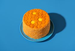 Honey cake called medovik, in bright light isolated on a blue background