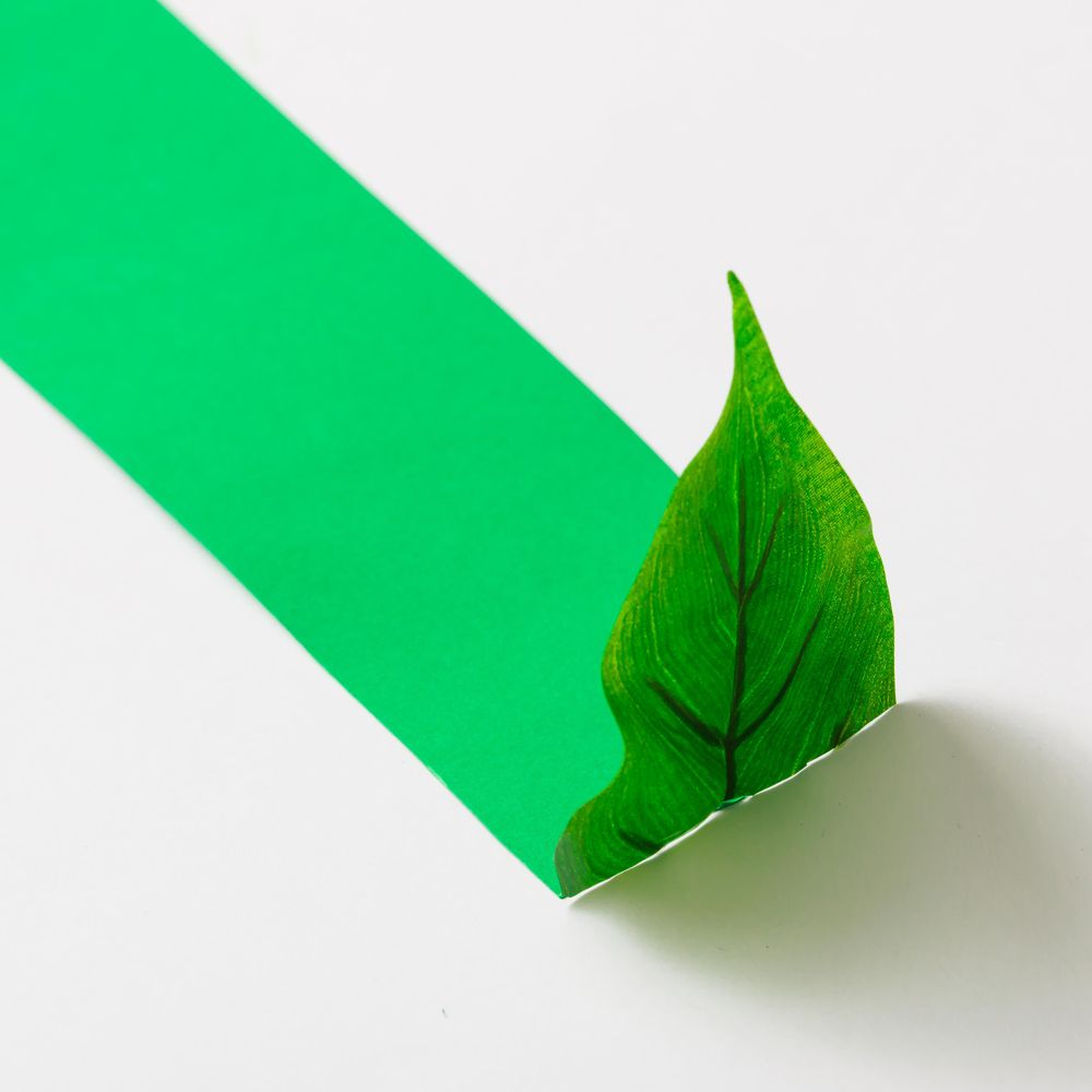 Paper leaf with green trail on light background
