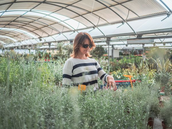 Thoughtful female choosing flowers on market