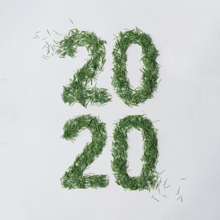 “2020” in pine needles on light background