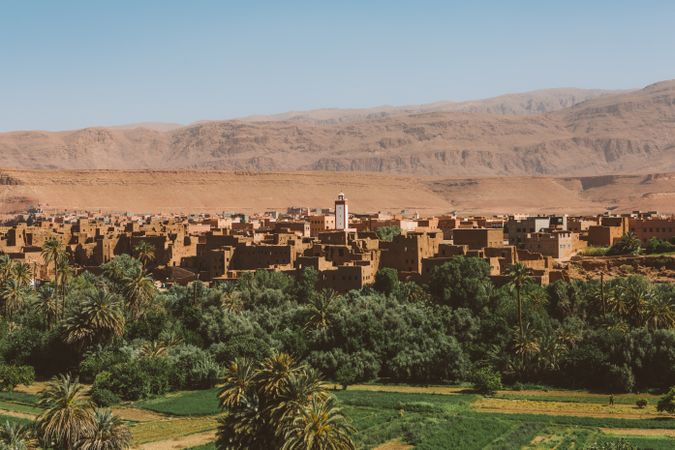 Panorama of green town in desert