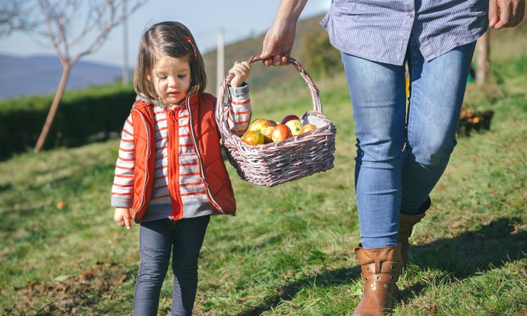 Little girl and woman carrying basket with apples