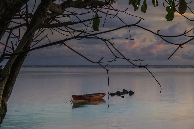 Boat in the ocean on a calm morning pictured from a tree