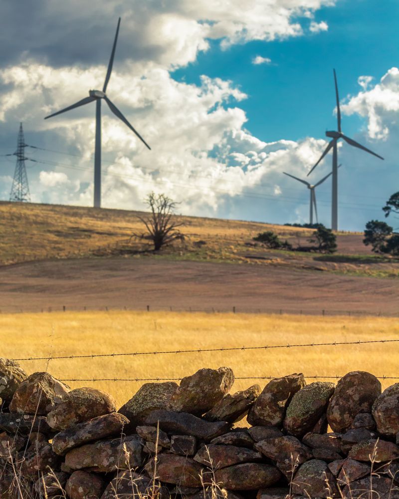 Wind turbines on brown grass