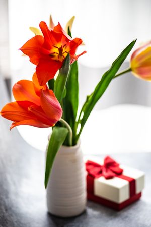 Vase of orange tulip flowers in bright room with present with red ribbon