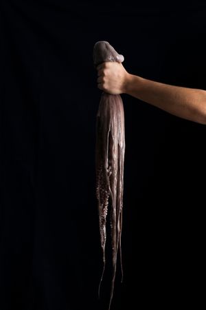 Grey healthy big octopus in outstretched hand