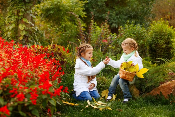 Two young blonde girls holding autumn leaves among red flowers
