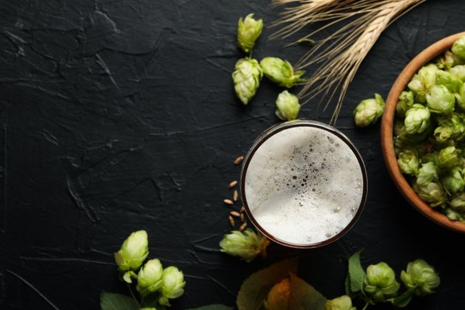Beer, wheat and hop on dark background