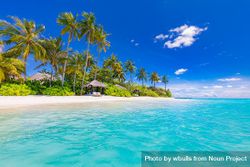 Beautiful beach with palm trees shot from the water 0VdEN4