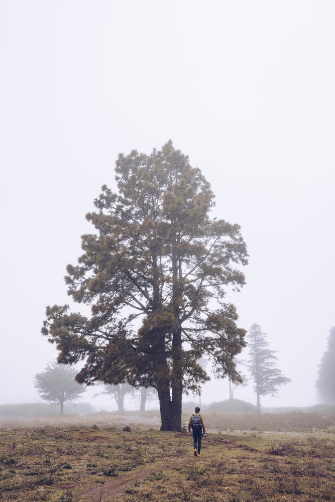 Hiker walking on foggy rural field