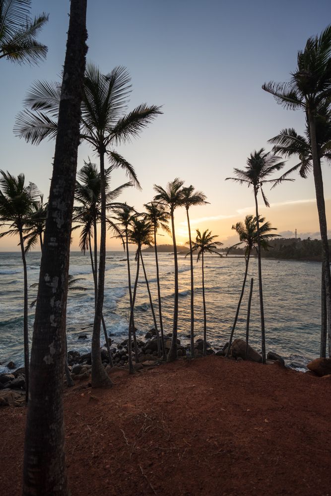 Exotic ocean sandy hill with palms