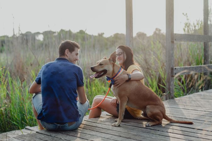 Cheerful adult couple playing with dog at countryside