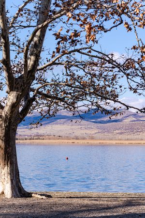 Lisi lake close to Tbilisi in the winter season