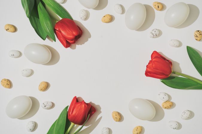 Easter eggs and red tulip flowers bordering light background