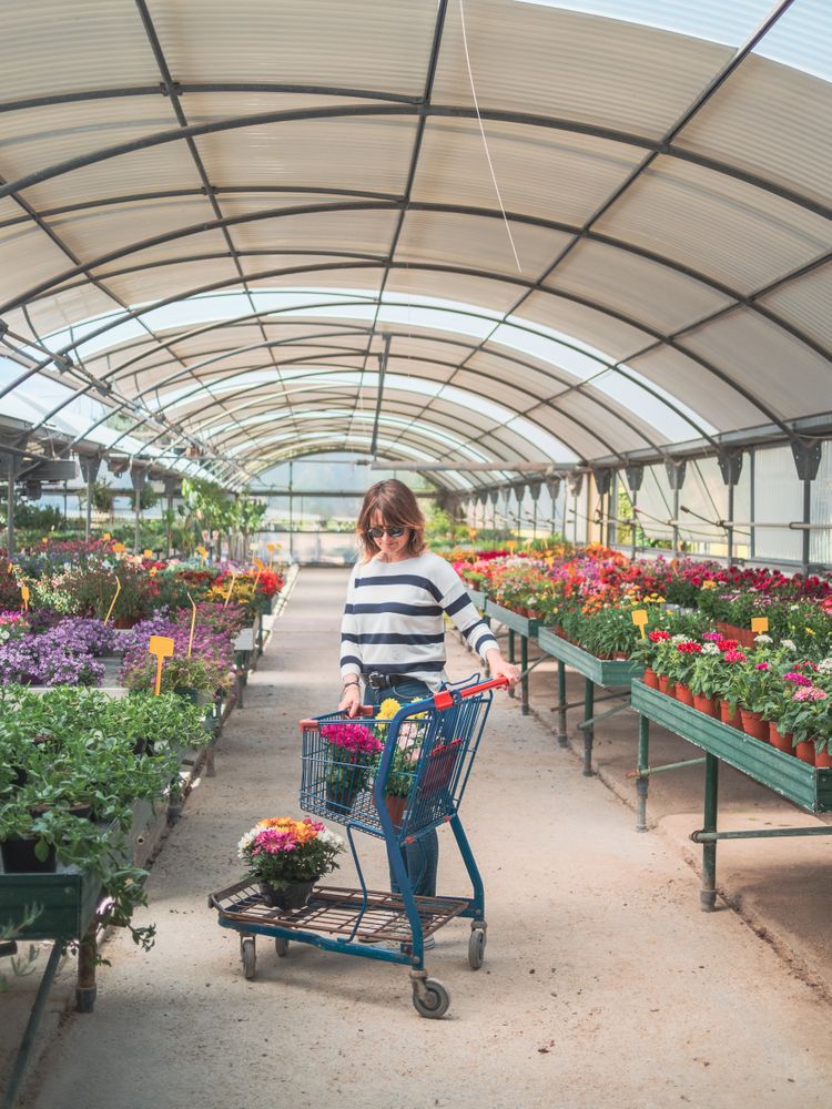 Female customer with cart on flower market