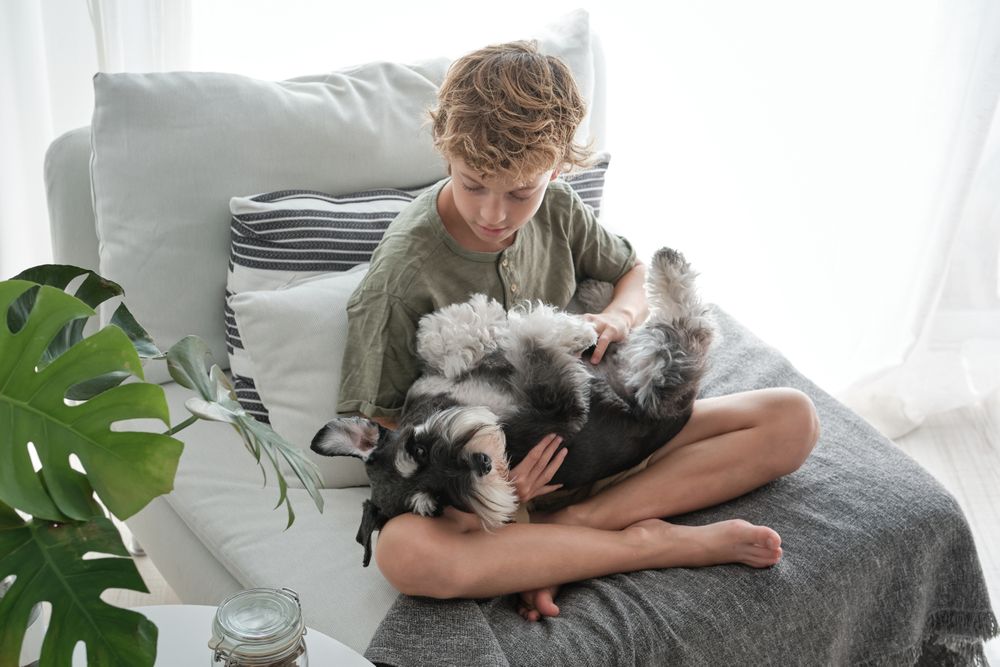 Boy caressing fluffy dog while sitting on sofa