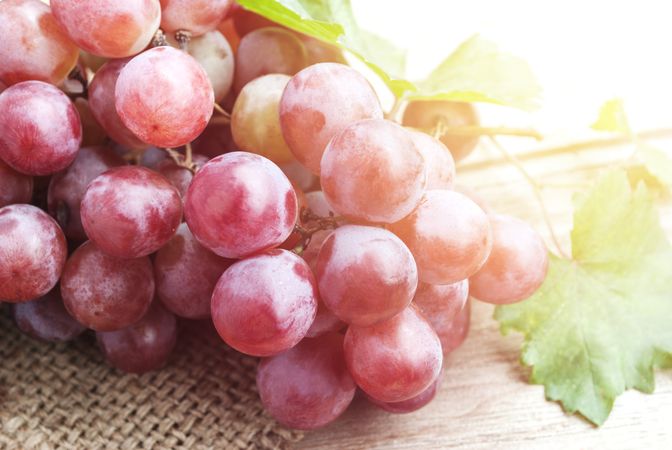 Red grape on natural sackcloth with soft light upper right side
