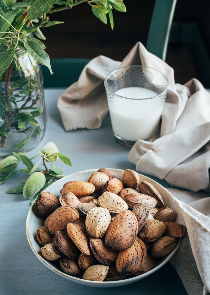 Glass of almond milk next to plate of almonds in shells on kitchen table