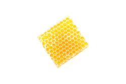 Piece of honeycomb isolated on blank background, top view