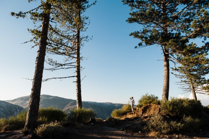 Man standing on hill between trees