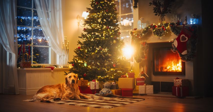 Magical Time of a Holiday Full of Love