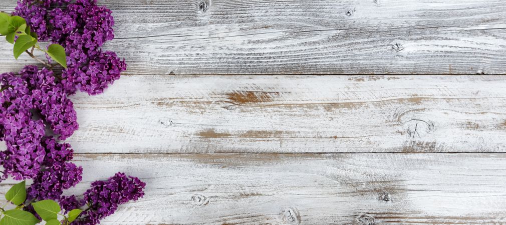 Deep purple lilac flowers on rustic wooden background with copy space