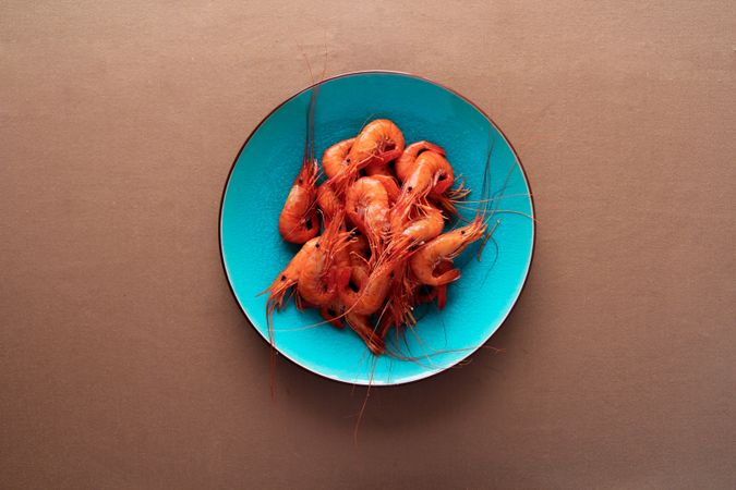 Red tasty shrimps in bright blue plate