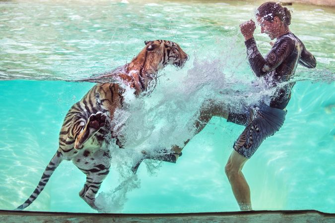 A trainer swims and dances with a tiger, Myrtle Beach, South Carolina